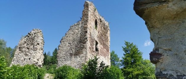 Die Ruinen einer alten Burg stehen auf einem Grashügel, umgeben von Bäumen unter einem klaren blauen Himmel.