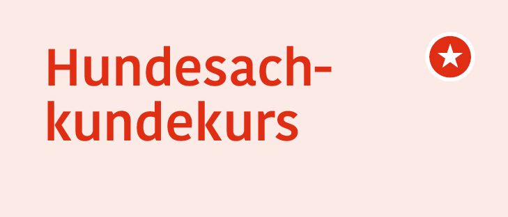 Ein rosa Hintergrund mit fetter rotem Text, der 'Hundesach-kundekurs der BH Murtal' lautet. Ein weißer Kreis mit einem roten Stern befindet sich in der oberen rechten Ecke.