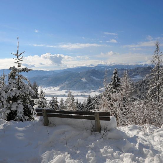 Eine Holzbank in einer verschneiten Berglandschaft mit Schnee bedeckten Tannen und Bergen im Hintergrund unter einem blauen Himmel.