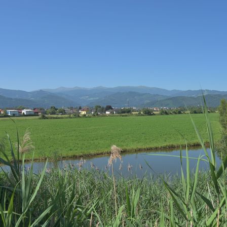 Eine friedliche Landschaft mit einem Fluss, üppigen grünen Feldern und entfernten Bergen unter einem klaren blauen Himmel.
