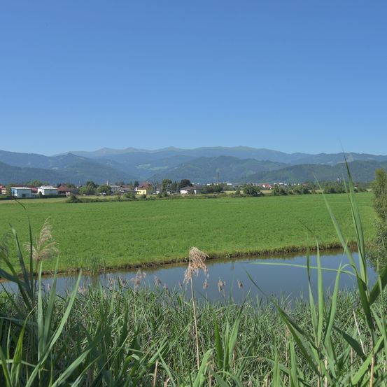 Eine friedliche Landschaft mit einem Fluss, üppigen grünen Feldern und entfernten Bergen unter einem klaren blauen Himmel.