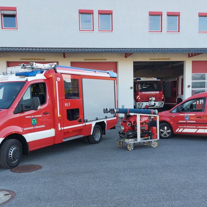 v1_migrated_image_46297003