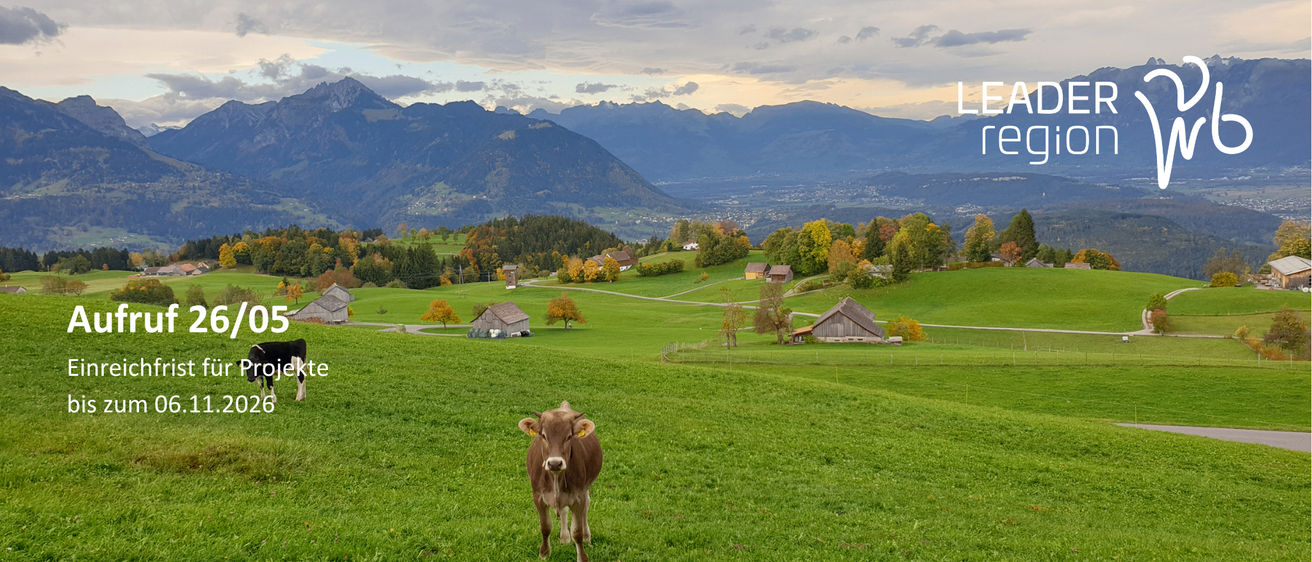 Eine Kuh steht auf einer üppigen grünen Wiese mit Bergen im Hintergrund. Der Himmel ist bewölkt und es gibt mehrere Häuser und Bäume in der Ferne.