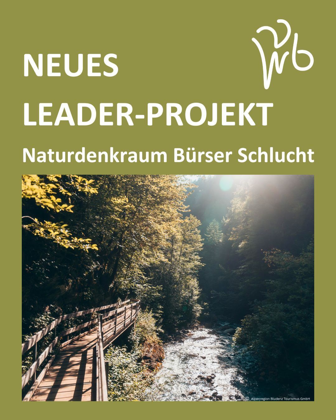 Ein Poster für ein neues Leader-Projekt. Es zeigt ein Foto eines natürlichen Waldes mit einer Holzbrücke und präsentiert die Schönheit der Natur. Der Titel lautet 'Neues Leader-Projekt' und der Untertitel ist 'Naturdenkraum Bürger Schluch.'