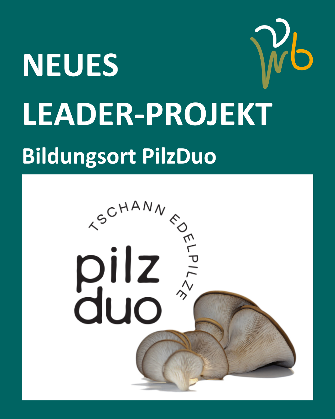 Grüner Banner mit weißen Text 'Neues Leader-Projekt Bildungsort PilzDuo.' Darunter ein Bild von Austernpilzen.
