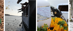 Vier Bilder zeigen einen Haufen Herbstblätter, Menschen, die Blätter ins Wasser werfen, eine Karte auf einer Flasche und einen Strauß Sonnenblumen auf verschneirtem Boden.