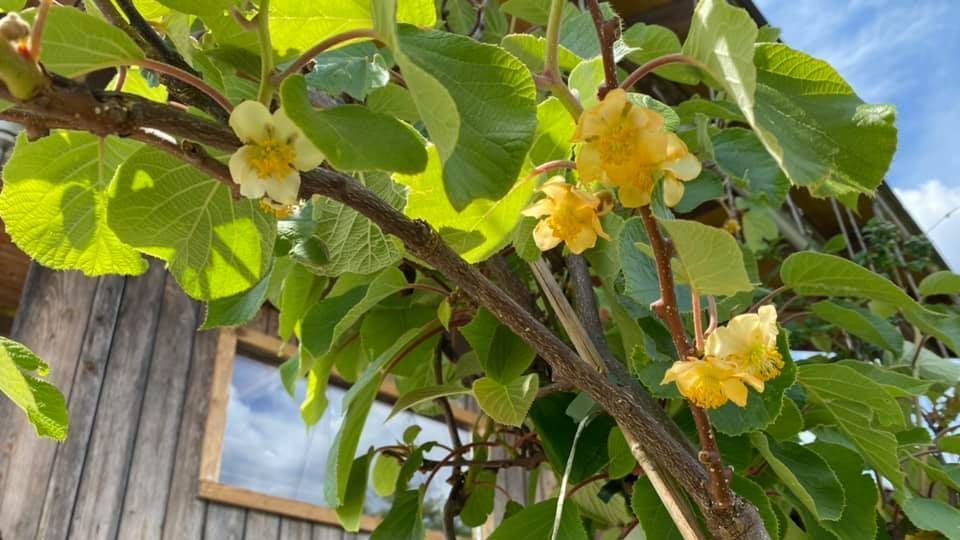 v1_migrated_image_59774019