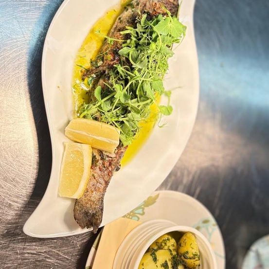 Ein ganzer gegrillter Fisch mit Zitronenscheiben und grüner Kräutergarnitur auf einem weißen Teller mit einer Beilage Kartoffelsalat.