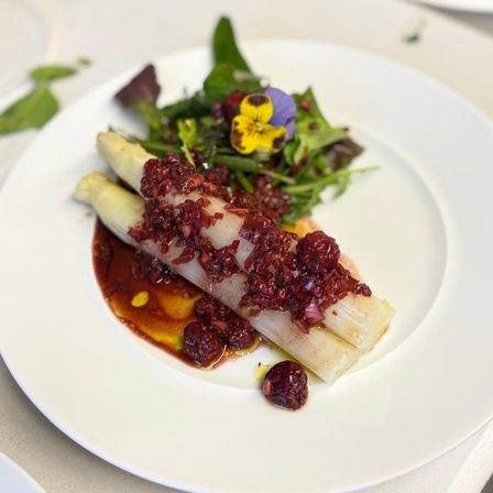 Ein weißer Teller mit zwei Spargelstangen, überzogen mit roter Sauce, begleitet von einem grünen Salat mit gelben und lila Blüten.