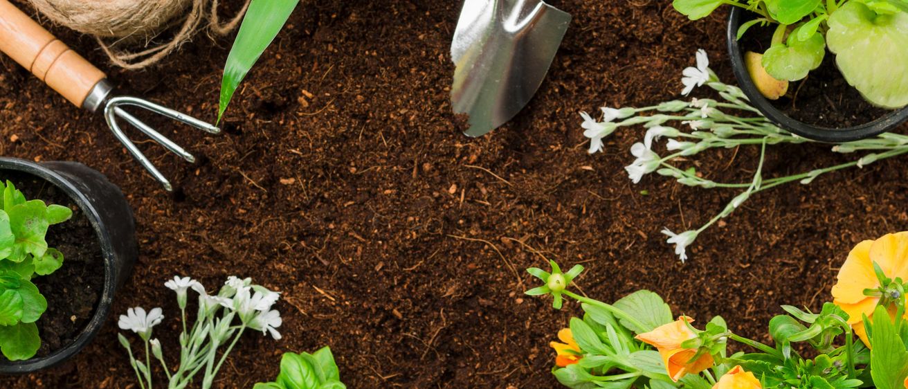 Bild enthält, Garden, Nature, Outdoors, Gardening, Soil, Plant, Device, Shovel, Gardener, Leaf