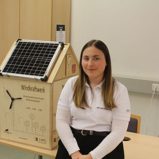 Bild enthält, Plywood, Wood, Adult, Female, Person, Woman, Solar Panels, Desk, Table, Face