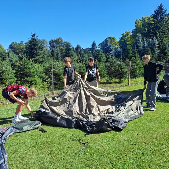 Vier Jungen bauen ein Zelt auf einem Rasenfeld auf. Sie arbeiten zusammen, um das Zelt auszubreiten und zu sichern. Hinter ihnen steht ein Zaun und eine Reihe von Weihnachtsbäumen.