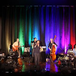 Eine Band spielt auf der Bühne unter farbigen Lichtern. Ein Mann in der Mitte spielt Mundharmonika, während andere Gitarre, Keyboard, Cello und Schlagzeug spielen.