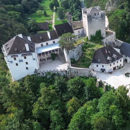 Ein Luftbild einer Burganlage mit einem hohen Turm und mehreren Gebäuden, umgeben von Bäumen und Grün.