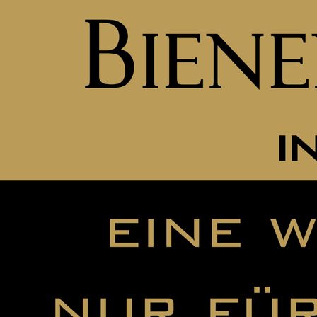 Bild enthält, Shelf, Advertisement, Poster, Wood, Shop