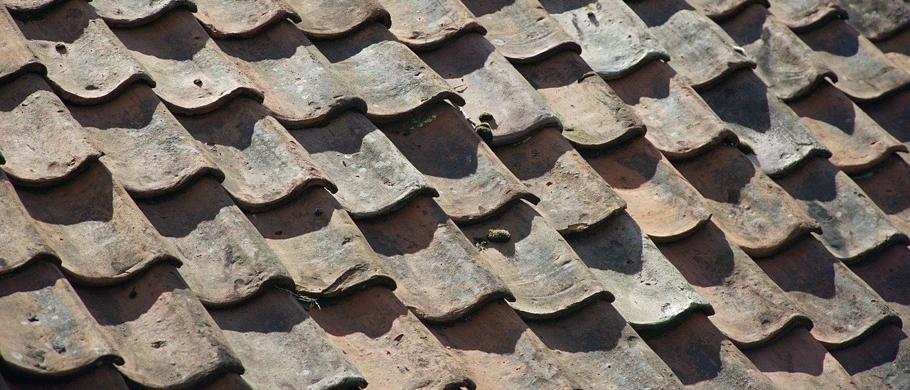 Bild enthält, Architecture, Building, House, Housing, Roof, Tile Roof