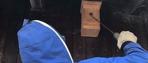 Bild enthält, Person, Worker