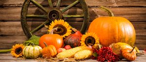 Eine herbstliche Zusammenstellung verschiedener Kürbisse, Mais, Sonnenblumen und Beeren vor einem hölzernen Hintergrund.