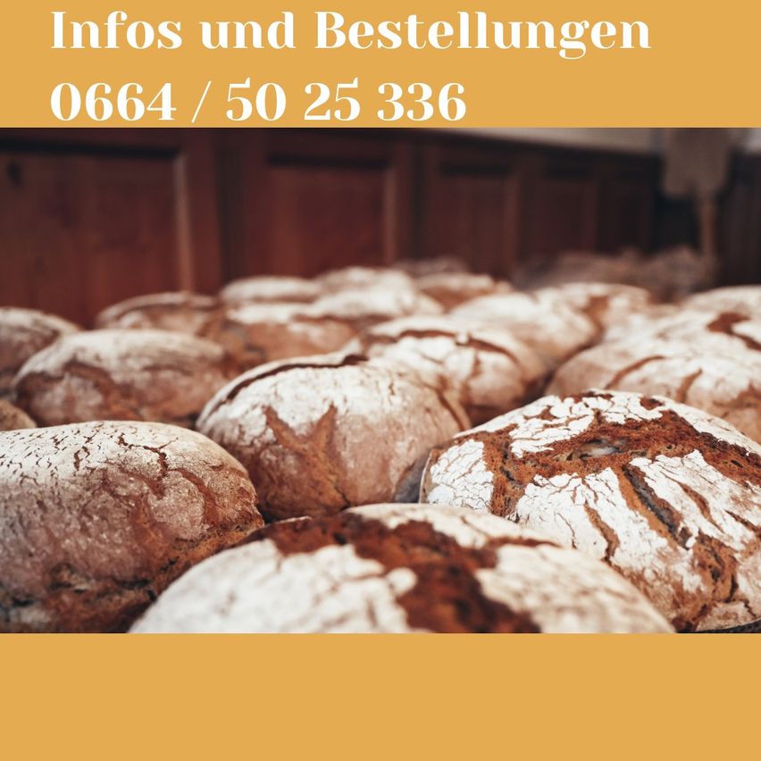 Ein gelber Hintergrund zeigt einen Haufen runder Brote mit brauner Kruste. Oben steht weißer Text: 'Infos und Bestellungen 0664/50 25 336'.
