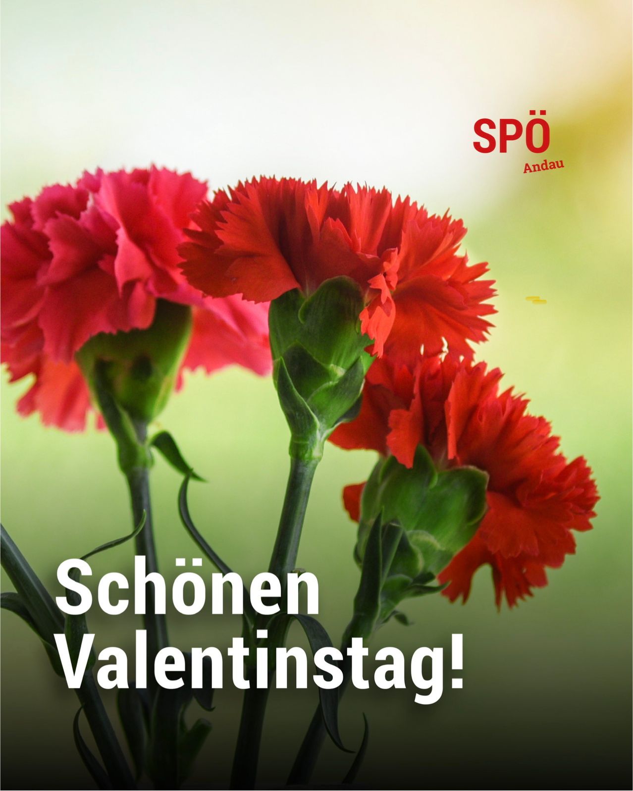 A close-up of vibrant red carnations with a green background. The text reads 'Schönen Valentinstag!' in bold letters.