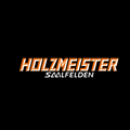 auto + motorrad Holzmeister GmbH u CoKG-Logo