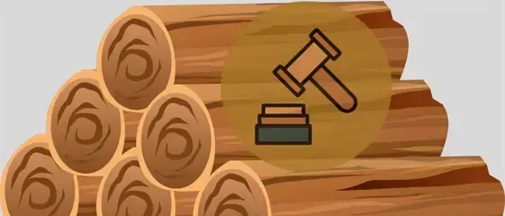 Versteigerung von Holzstücken am 29.11.2025 um 9 Uhr in Seebarn am Wagram, mit einem Gavel-Symbol.