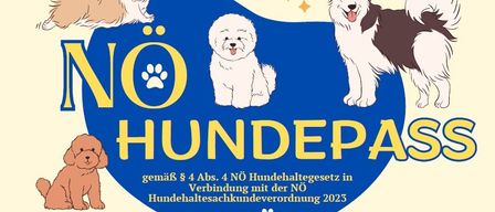 Plakat mit verschiedenen Hunderassen um einen blauen Kreis herum, das 'NO HUNDEPASS' anzeigt. Es bezieht sich auf § 8 Abs. 4 Hundehaltungsgesetz in Verbindung mit der NO Hundehaltungskundeverordnung 2023.