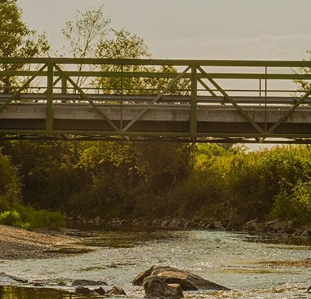Bild enthält, Vegetation, Arch, Road, Creek, Nature, Outdoors, Stream, Water, Scenery, Tree