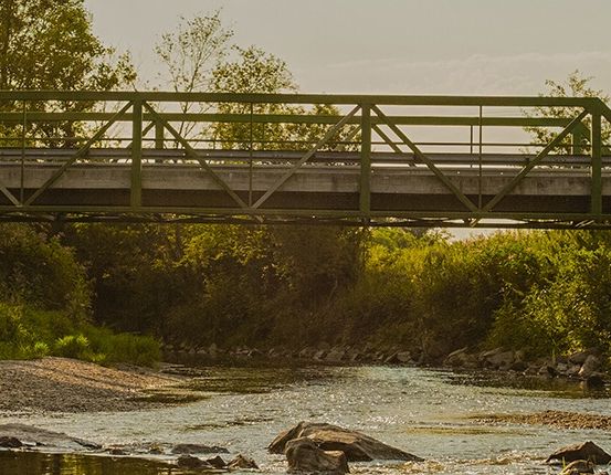 Bild enthält, Vegetation, Arch, Road, Creek, Nature, Outdoors, Stream, Water, Scenery, Tree