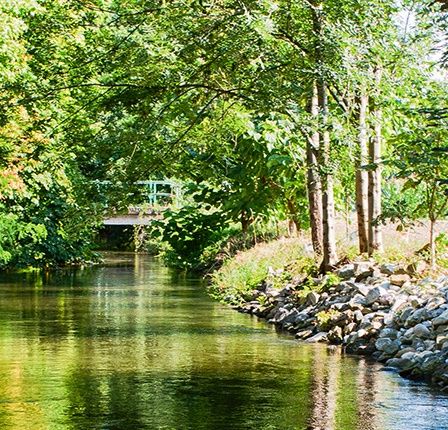 Bild enthält, Nature, Outdoors, Scenery, Vegetation, Canal, Water, Garden, Backyard, Land, Tree