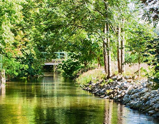 Bild enthält, Nature, Outdoors, Scenery, Vegetation, Canal, Water, Garden, Backyard, Land, Tree