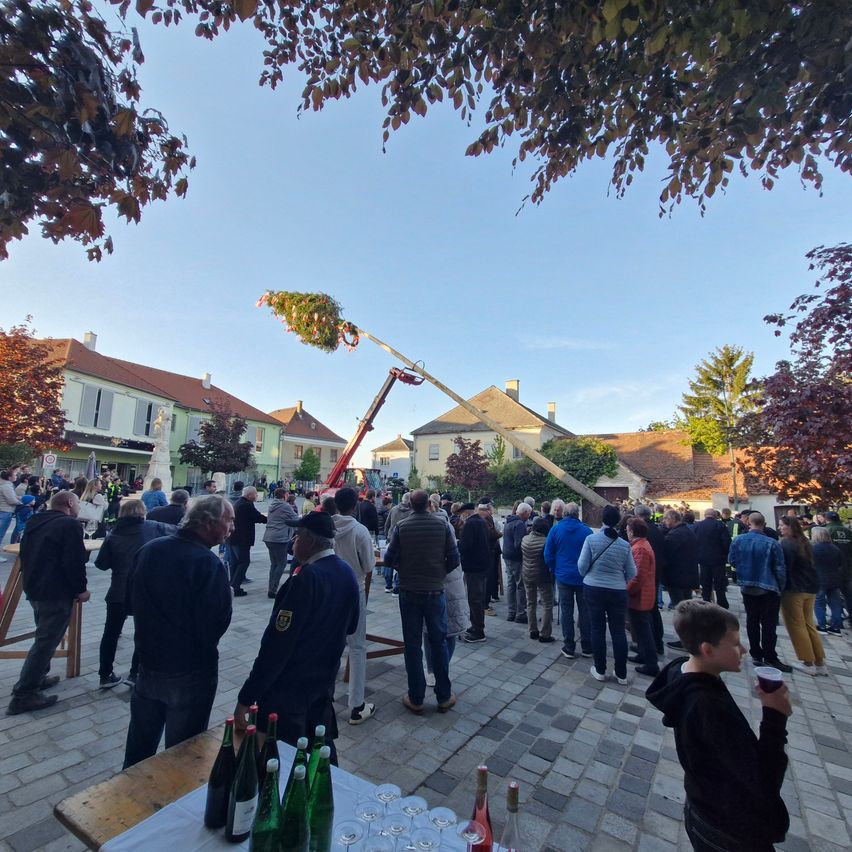 A crowd gathers around a tree with a large branch being lifted by a crane. Bottles of wine are on a table, and people are wearing jackets and sneakers.