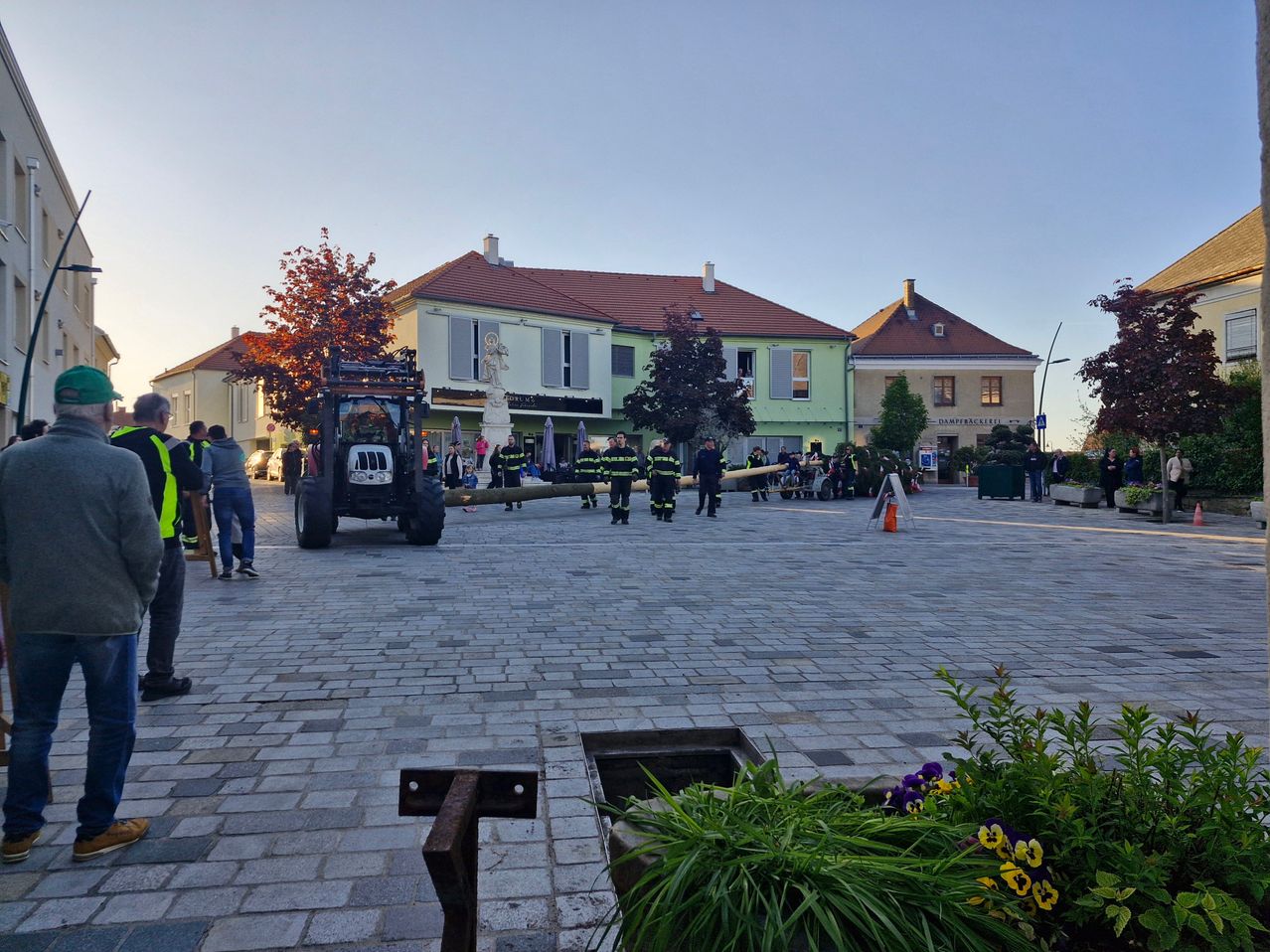 Firefighters pull a log with a tractor on a paved street in a town square. People watch.