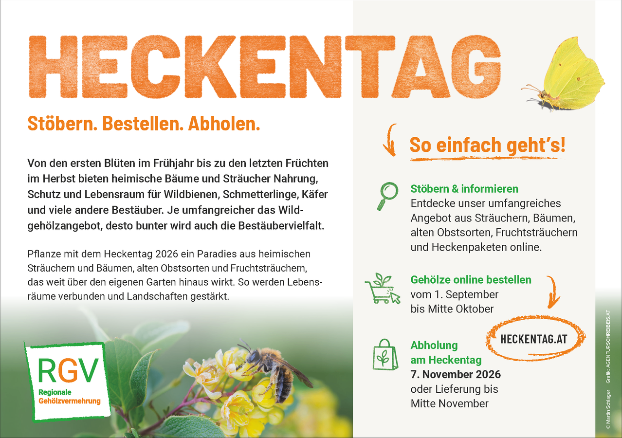 Plakat für das Heckentag-Event 2026, mit einer Biene auf Blumen, das einheimische Pflanzen und Sträucher für Wildtiere bewirbt, mit Details zu Bestellung, Abholung und Lieferterminen.