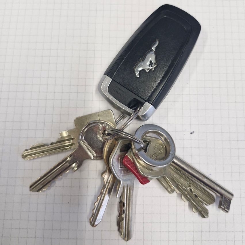 Eine Sammlung von Schlüsseln, einschließlich eines Ford Mustang Fernbedienungsschlüssels, liegt auf einem Gitterhintergrund.