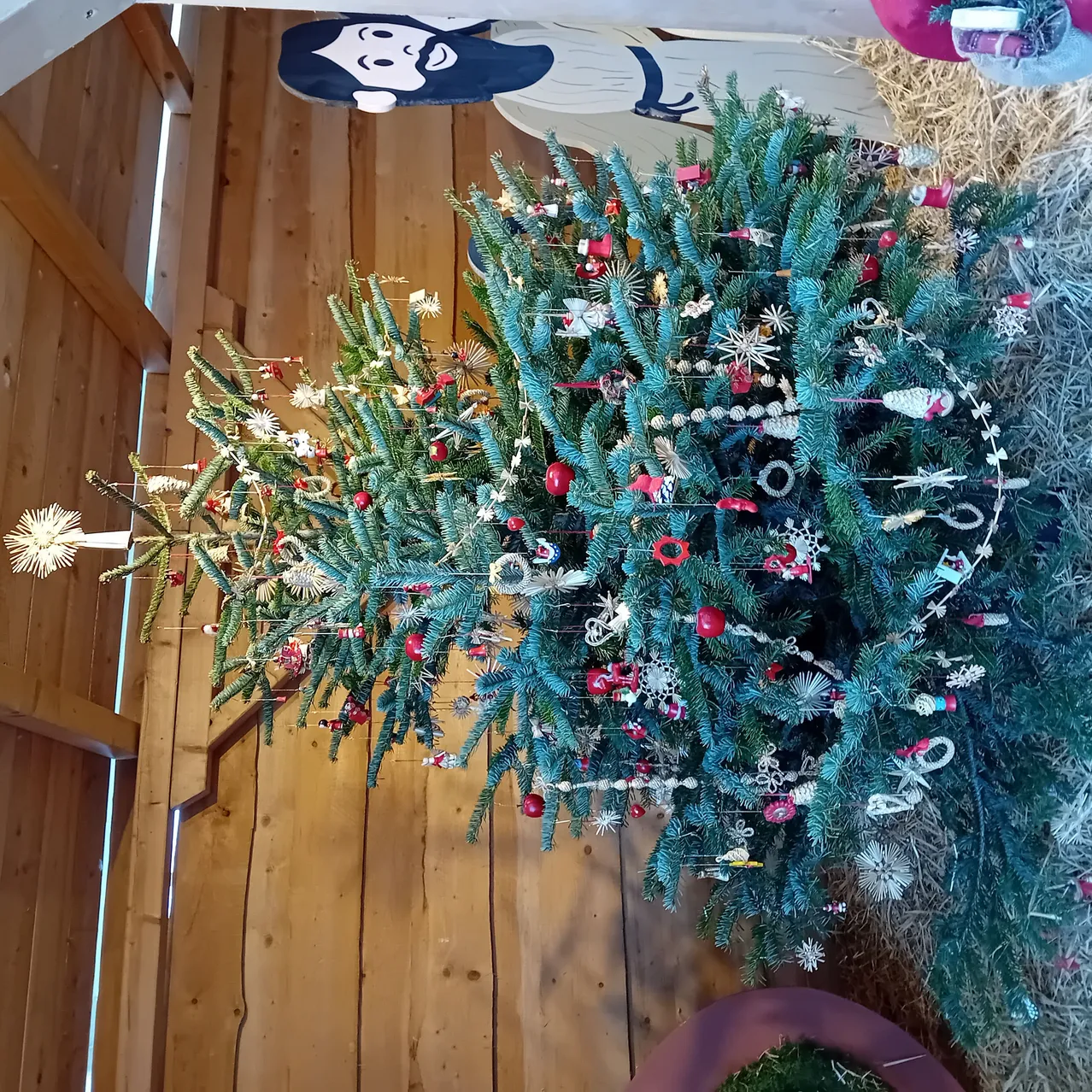 Plant, Tree, Christmas, Christmas Decorations, Festival, Christmas Tree