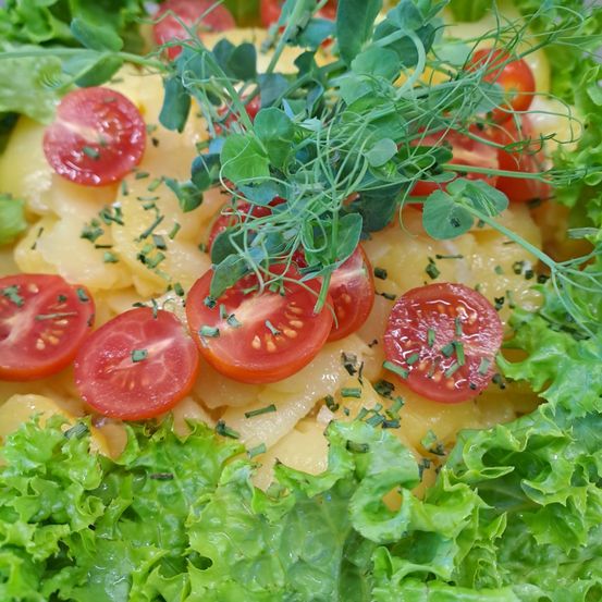 Eine Nahaufnahme einer Kartoffelsalat mit roten Tomaten, grünen Kräutern und Salatblättern, garniert mit Petersilie.