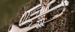 Image contains, Brass Section, Horn, Musical Instrument, Trumpet, Flugelhorn