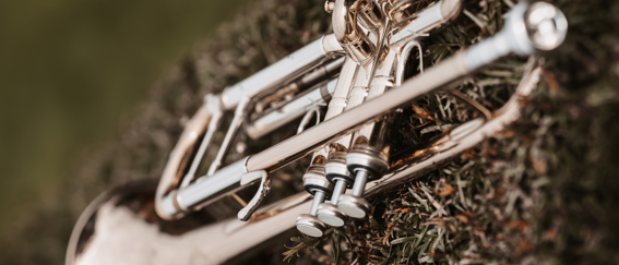 Bild enthält, Brass Section, Horn, Musical Instrument, Trumpet, Flugelhorn