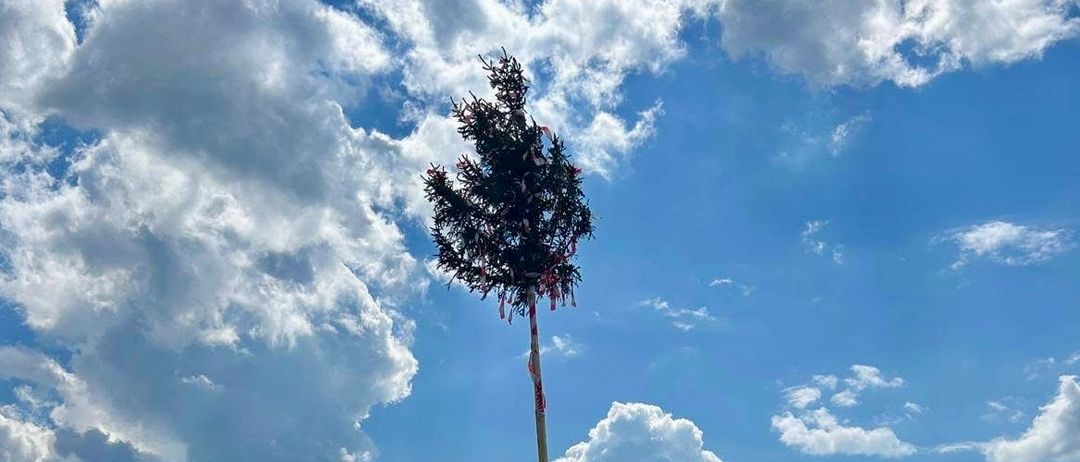 Eine Gruppe von Menschen umgibt einen Baum, der wahrscheinlich für eine Feier aufgestellt wird. Der Baum ist mit bunten Bändern geschmückt. Sie stehen auf einem Rasen mit einem Haus im Hintergrund.