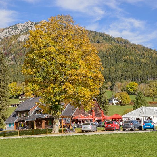 Bild enthält, Grass, Tree, Fir, Outdoors, Shelter, Car, Countryside, Nature, Hut, Lawn