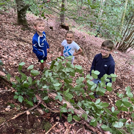 Drei Kinder stehen in einem Wald, wobei eines einen Zweig hält. Sie lächeln und scheinen ihre Zeit im Freien zu genießen.