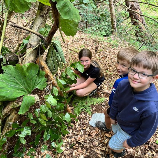 Drei Kinder erkunden einen Wald, wobei ein Mädchen kniet und Blätter berührt, während zwei Jungen in der Nähe stehen und lächeln.