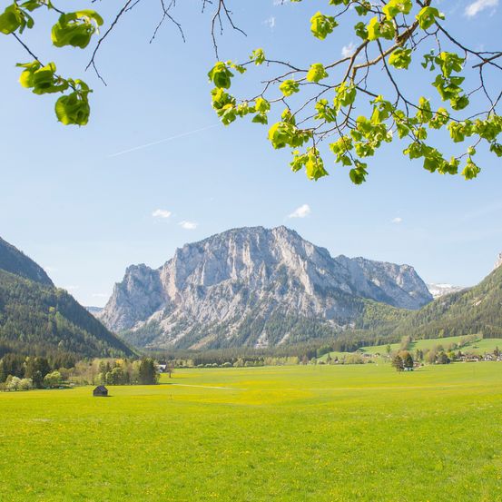 Bild enthält, Grass, Landscape, Nature, Outdoors, Scenery, Field, Grassland, Meadow, Park, Mountain Range