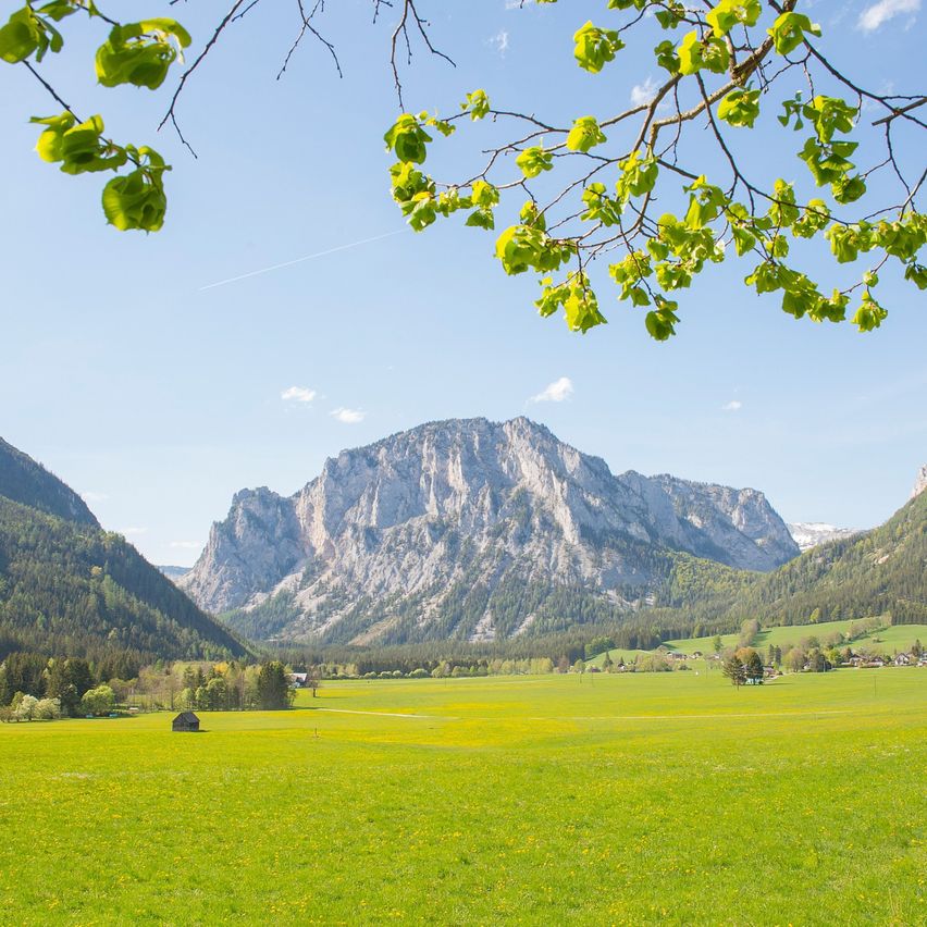 Bild enthält, Grass, Landscape, Nature, Outdoors, Scenery, Field, Grassland, Meadow, Park, Mountain Range