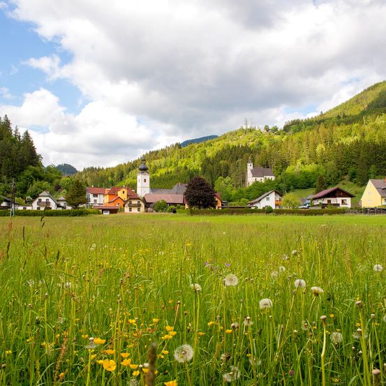 Bild enthält, Countryside, Field, Grassland, Meadow, Nature, Outdoors, Rural, Farm, Pasture, Building
