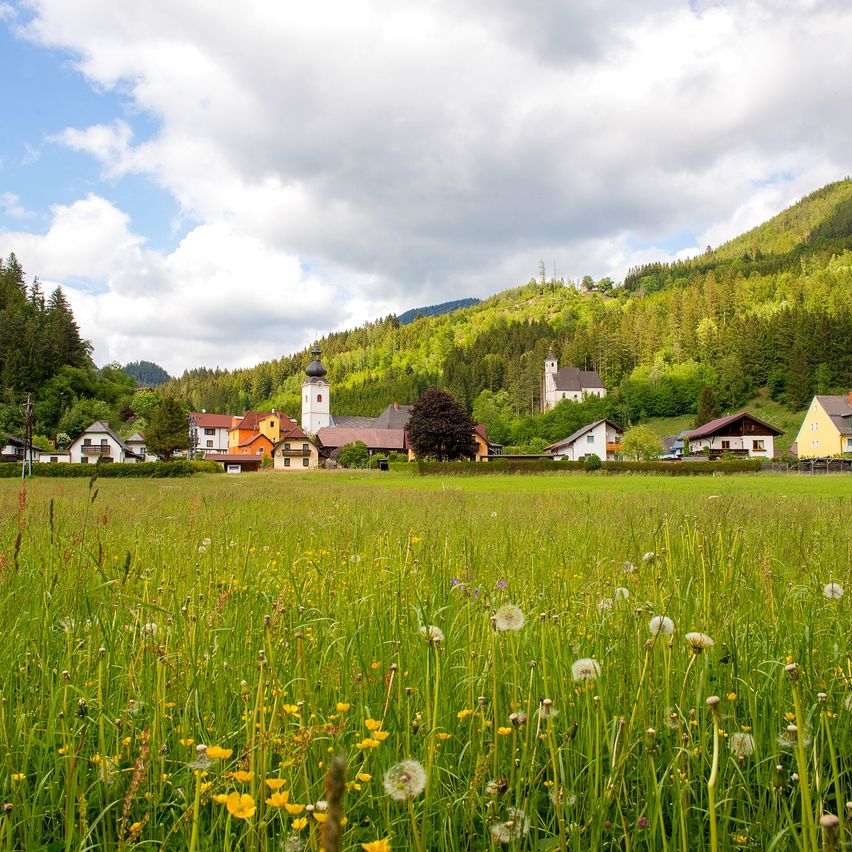 Bild enthält, Countryside, Field, Grassland, Meadow, Nature, Outdoors, Rural, Farm, Pasture, Building