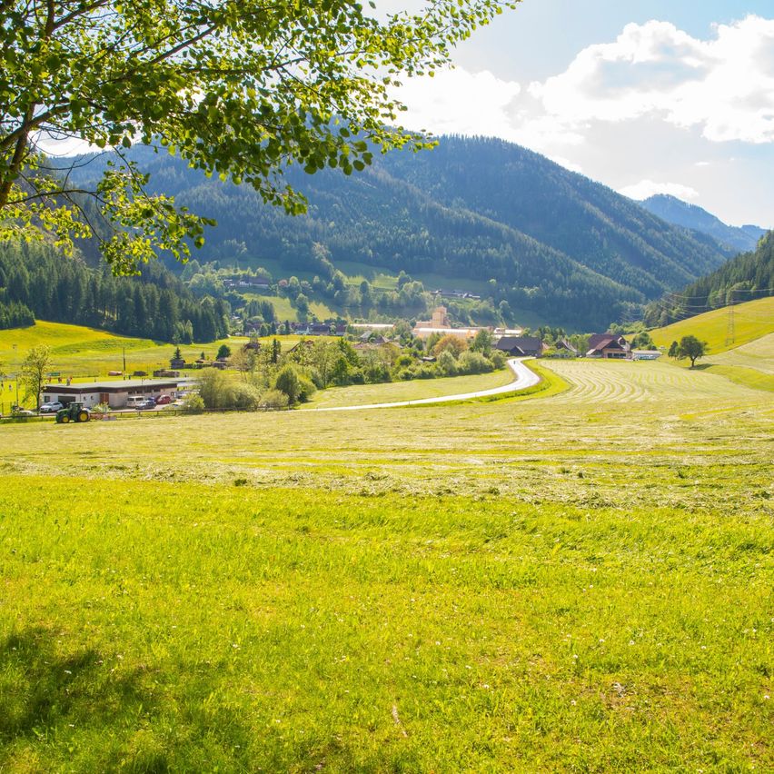 Bild enthält, Field, Grassland, Nature, Outdoors, Countryside, Meadow, Scenery, Pasture, Grass, Landscape