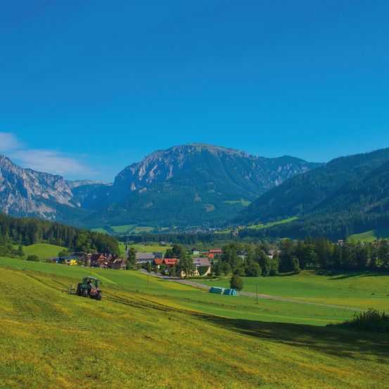 Bild enthält, Grass, Field, Nature, Outdoors, Scenery, Slope, Grassland, Mountain, Mountain Range, Landscape