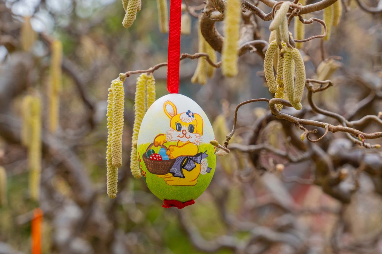 Ein dekoriertes Osterei mit einem Kaninchen und einem Korb voller Eier hängt an einem Ast mit Kätzchen. Das Ei hat ein rotes Band und ist grün bemalt.